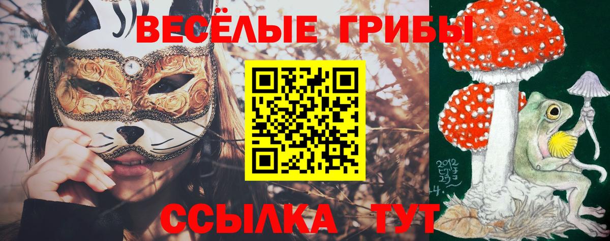 Миллерово  Псилоцибиновые грибы прущие грибы  Вход с VPN 