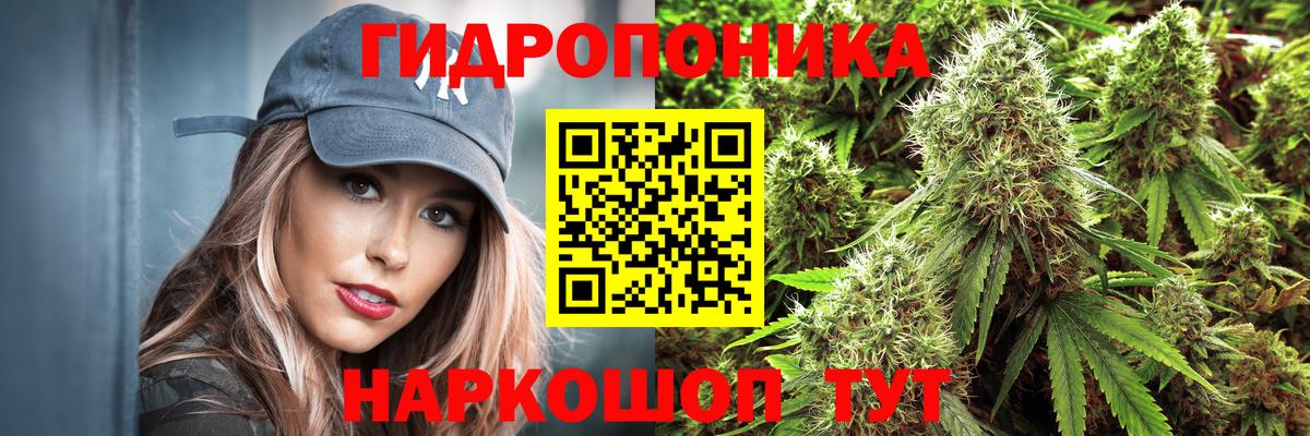 Марихуана THC 21%  Бошки марихуана индика  Миллерово  Бошки Шишки AK-47  Шишки марихуана SATIVA & INDICA  Вход с VPN 